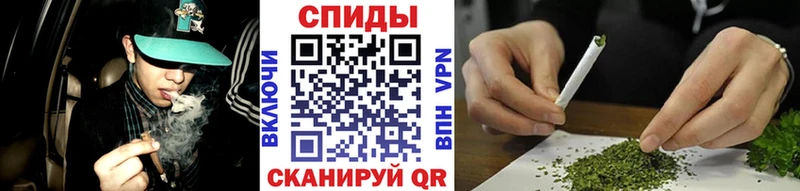 как найти   Нестеров  БУТИРАТ 1.4BDO 