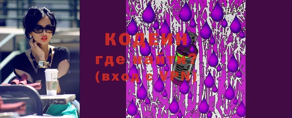 индика Зеленодольск