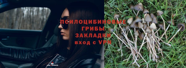 apvp Переславль-Залесский